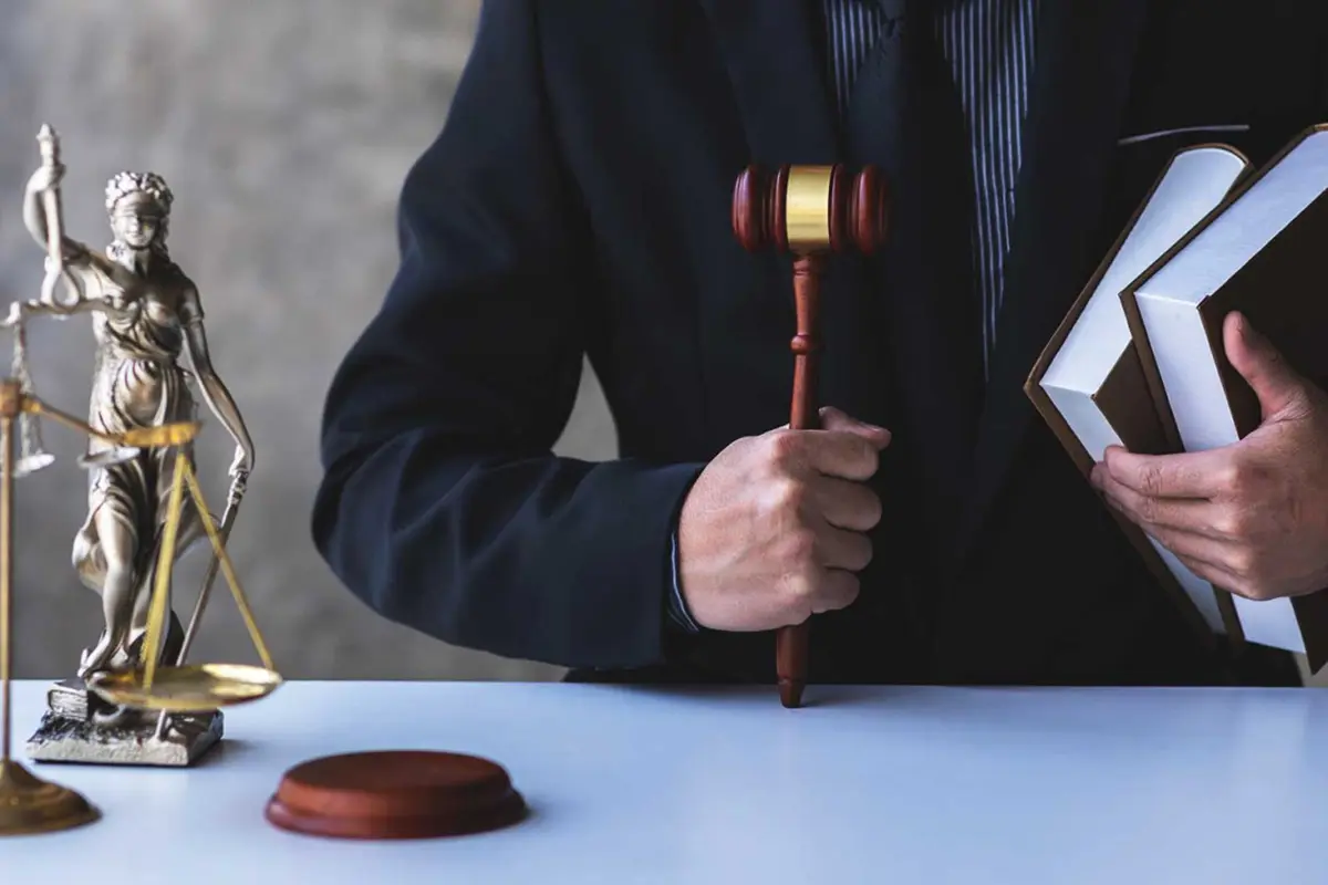 Appealing Interpol Notifications: When the system makes mistakes